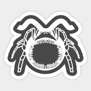 Zodiac Spiders : Taurus Sticker